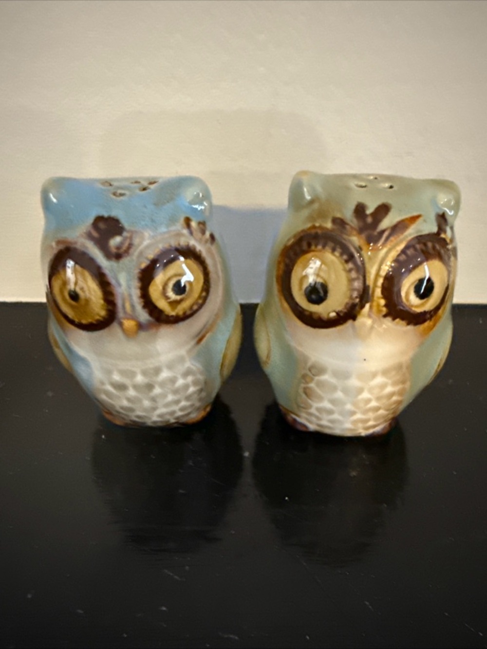 Ceramic Owl Salt and Pepper Shaker Set - Blue and Cream